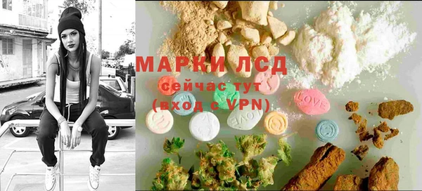 MESCALINE Аркадак